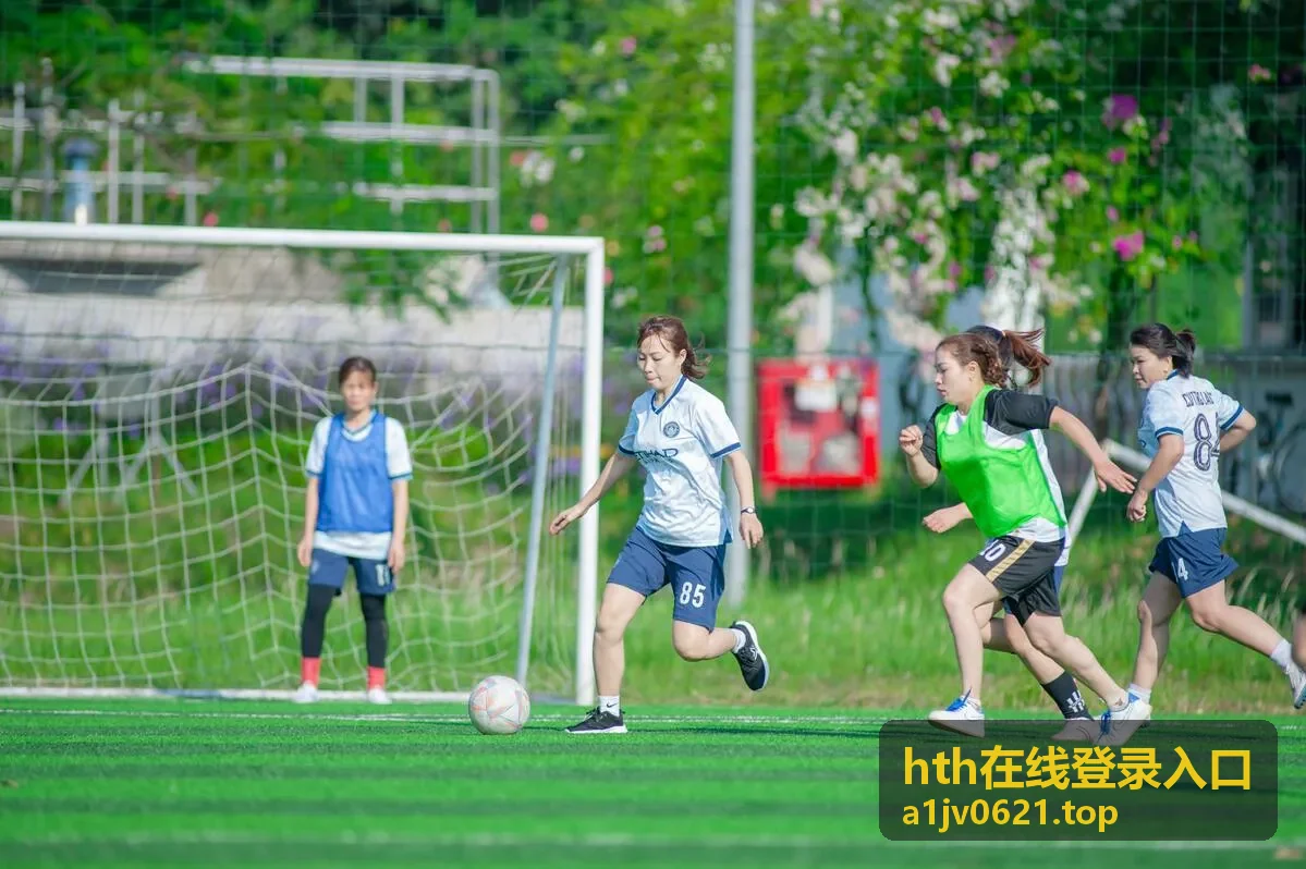 hth在线登录入口会员同时在线设备权益说明