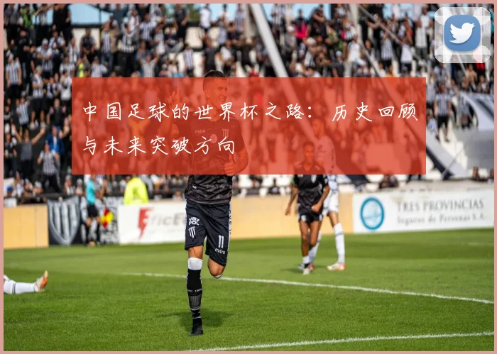 中国足球的世界杯之路：历史回顾与未来突破方向